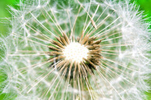 Hypnotherapy Maidstone Hypnotherapist Lenham Court Kent